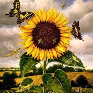 Meet your Posher, Floralee